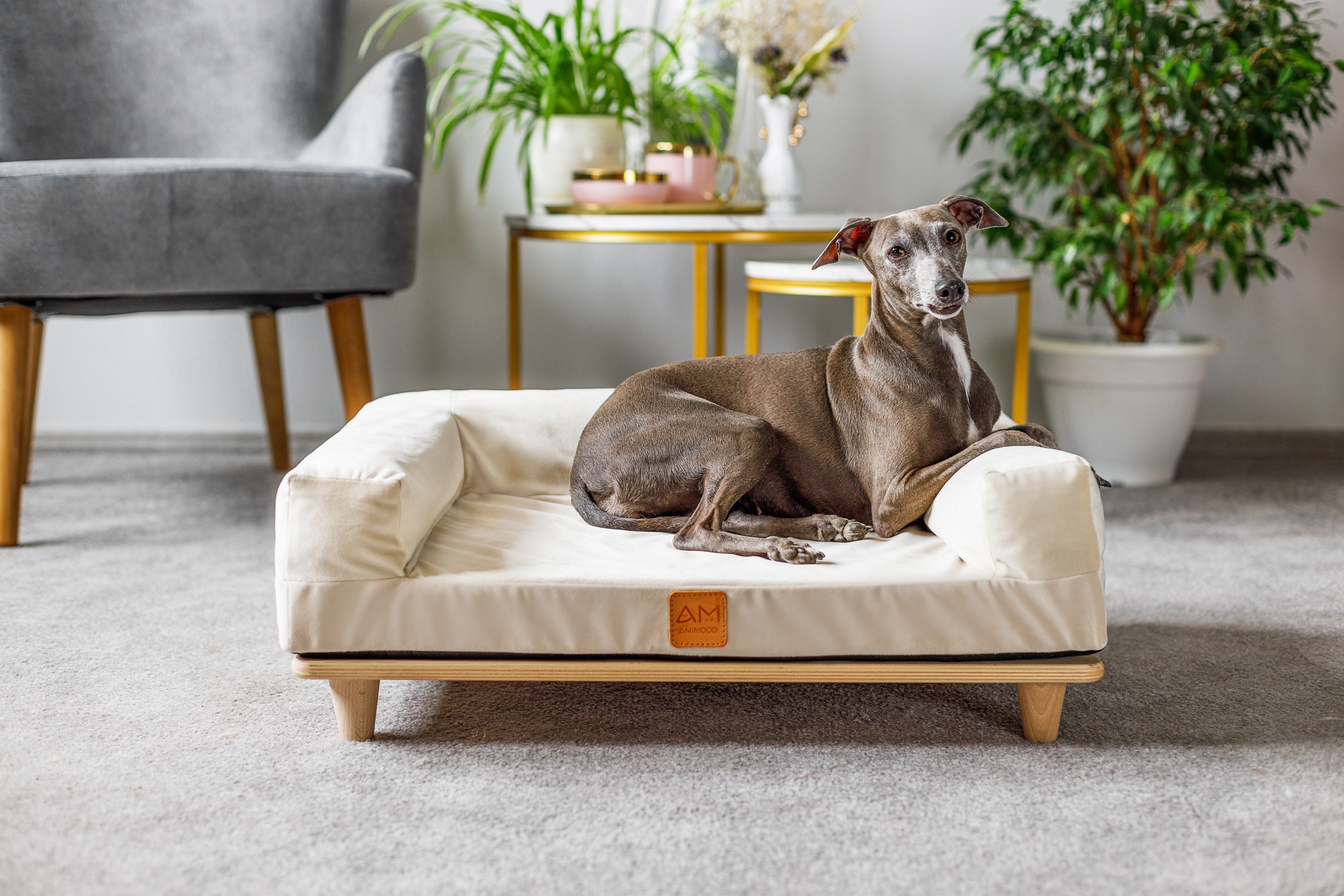 ANIMOOD Canapé pour chien et chat SONYA