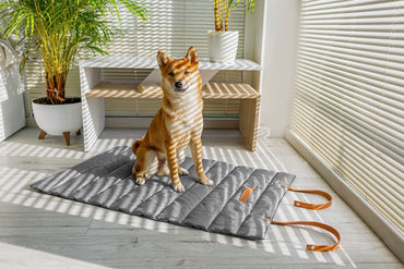 Animood Travel Carpet for Dog and Cat Luna