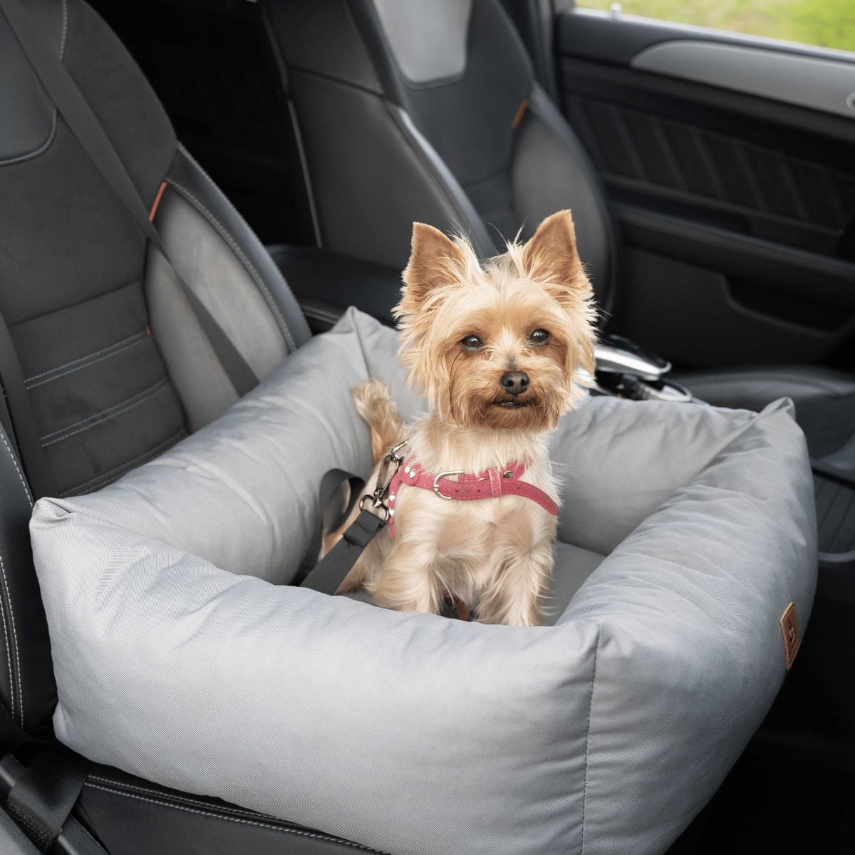 Panier de voiture pour chien design avec ceinture de sécurité