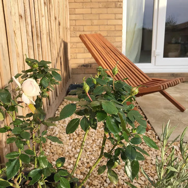Chaises pliables d'extérieur Bois d'acacia solide lot de 2