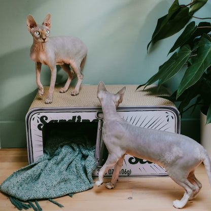 Tanière pour chat SARDINE avec griffoir