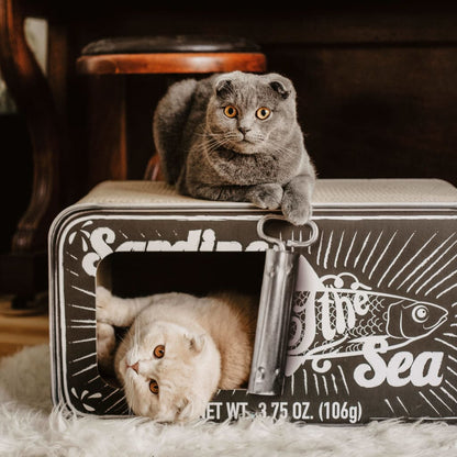 Tanière pour chat SARDINE avec griffoir
