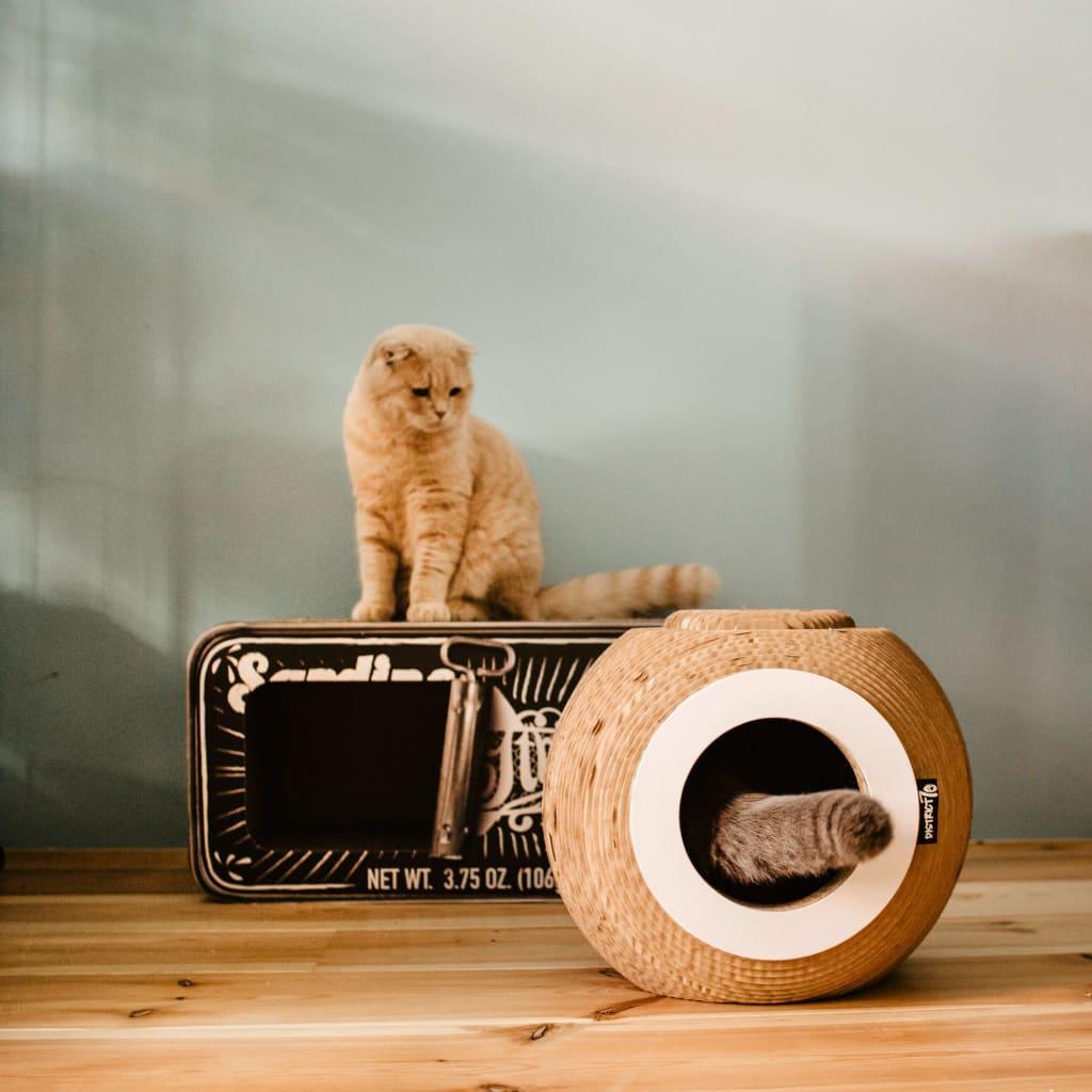 Tanière pour chat SARDINE avec griffoir