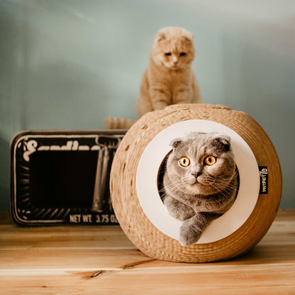 Tanière pour chat SARDINE avec griffoir