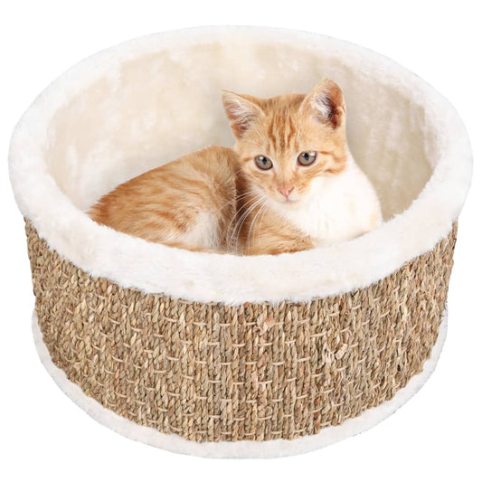 Panier pour chat en herbiers marins