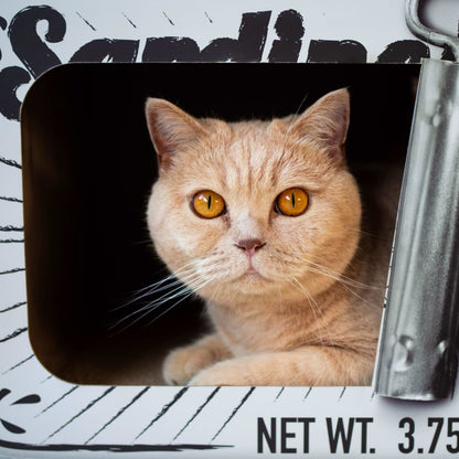 Tanière pour chat SARDINE avec griffoir