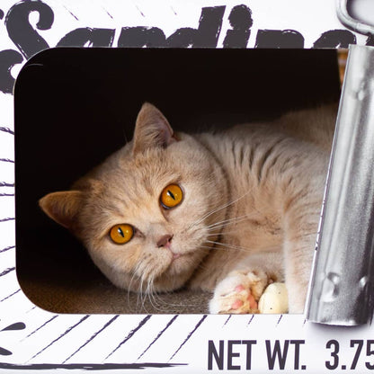 Tanière pour chat SARDINE avec griffoir