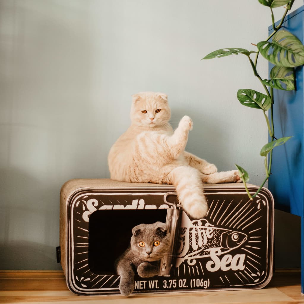 Tanière pour chat SARDINE avec griffoir