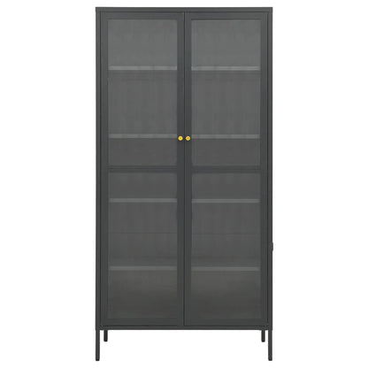 Anthracite steel and tempered glass anthracite showcase