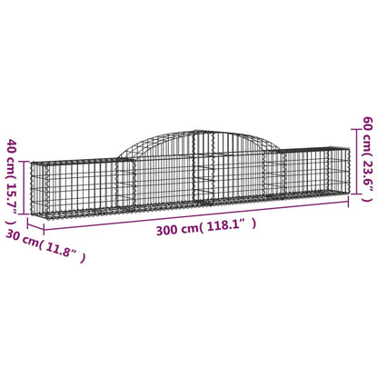 Paniers à gabions arqués 11 pcs 300x30x40/60 cm fer galvanisé